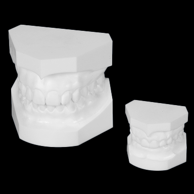 Plastic Models (RAIKA)