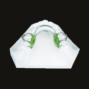 Biobloc StageI (Lower)